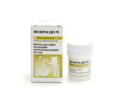 Нефродиум гранулы 15г