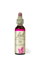 Цветы Баха Пайн капли №24 10мл