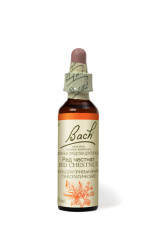 Цветы Баха Ред честнат капли №25 10мл