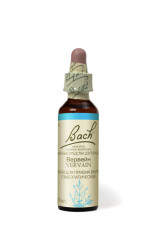 Цветы Баха Вервейн капли №31 10мл