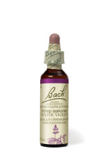 Цветы Баха Уотер вайолет капли №34 10мл